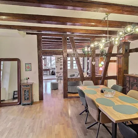 Apartmán : 6 Pers, Charme Et Modernite, Centre-ville, Parking Inclus - Fr-1-722-14 Colmar