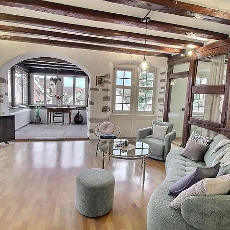 公寓 : 6 Pers, Charme Et Modernite, Centre-ville, Parking Inclus - Fr-1-722-14 科尔马