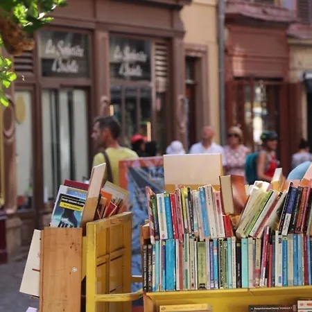 公寓 : 6 Pers, Charme Et Modernite, Centre-ville, Parking Inclus - Fr-1-722-14 *