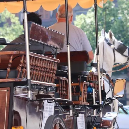 : 6 Pers, Charme Et Modernite, Centre-ville, Parking Inclus - Fr-1-722-14 公寓