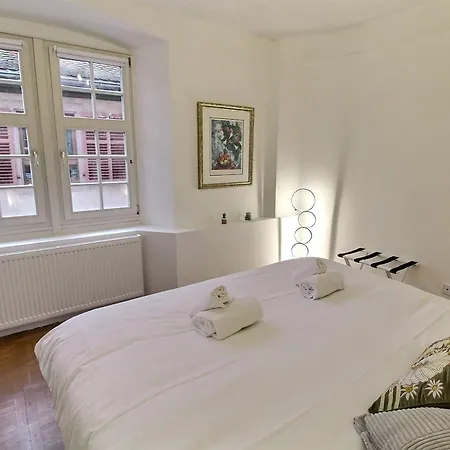 Apartmán : 6 Pers, Charme Et Modernite, Centre-ville, Parking Inclus - Fr-1-722-14 Colmar