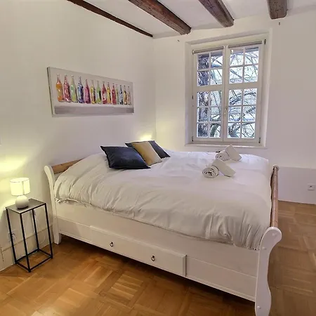 : 6 Pers, Charme Et Modernite, Centre-ville, Parking Inclus - Fr-1-722-14 * Colmar