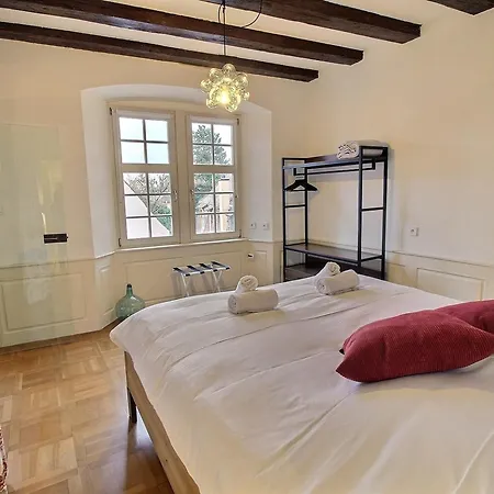 Apartmán : 6 Pers, Charme Et Modernite, Centre-ville, Parking Inclus - Fr-1-722-14 Colmar